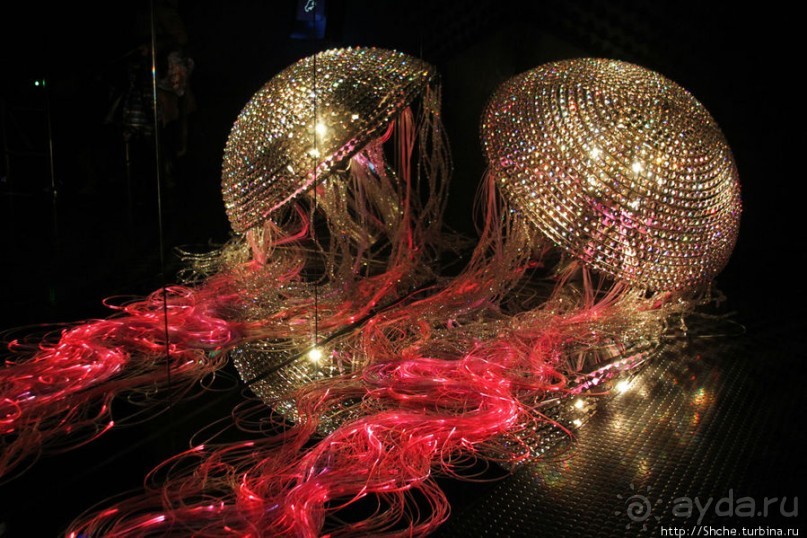 Альбом отзыва "Медуза Левиафан от Swarovski - достойнейшая из неповторимых"