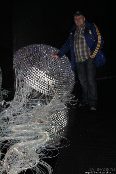 Альбом отзыва "Медуза Левиафан от Swarovski - достойнейшая из неповторимых"