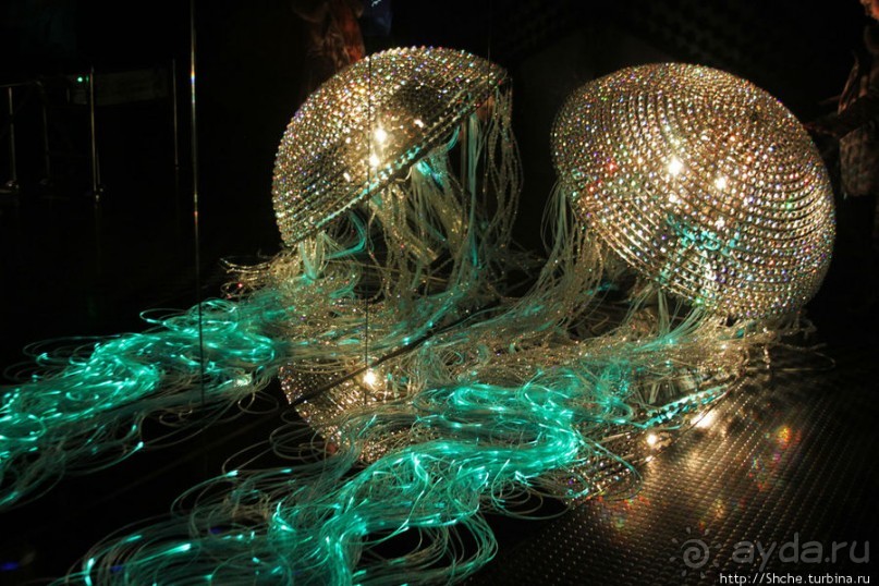 Альбом отзыва "Медуза Левиафан от Swarovski - достойнейшая из неповторимых"