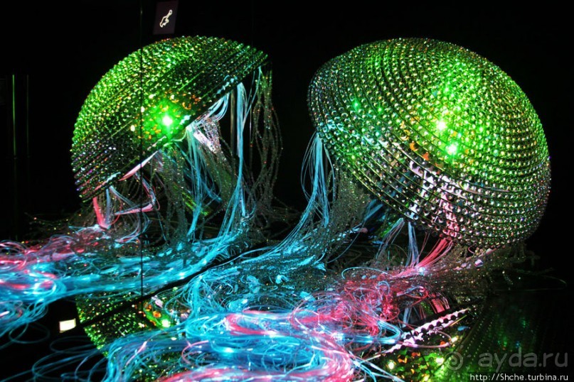 Альбом отзыва "Медуза Левиафан от Swarovski - достойнейшая из неповторимых"