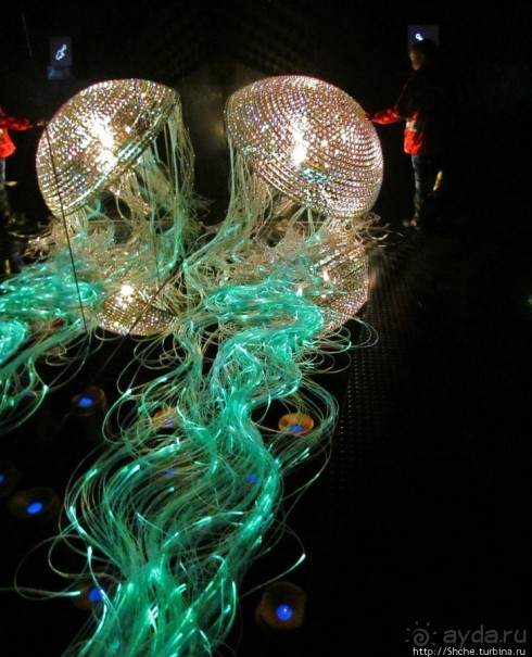 Альбом отзыва "Медуза Левиафан от Swarovski - достойнейшая из неповторимых"