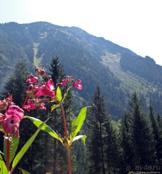 Деревушка Кримль - сюда едут смотреть водопад