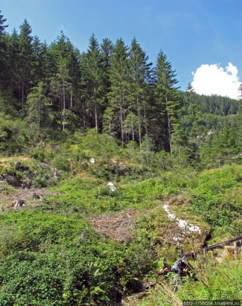 Деревушка Кримль - сюда едут смотреть водопад