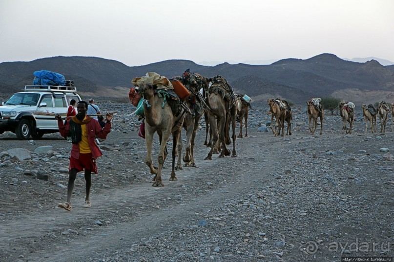 Соль рубить, соль возить
