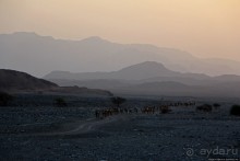Соль рубить, соль возить