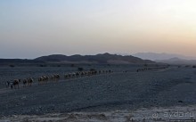 Соль рубить, соль возить