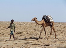 Соль рубить, соль возить