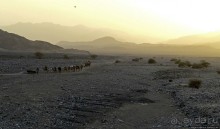 Соль рубить, соль возить