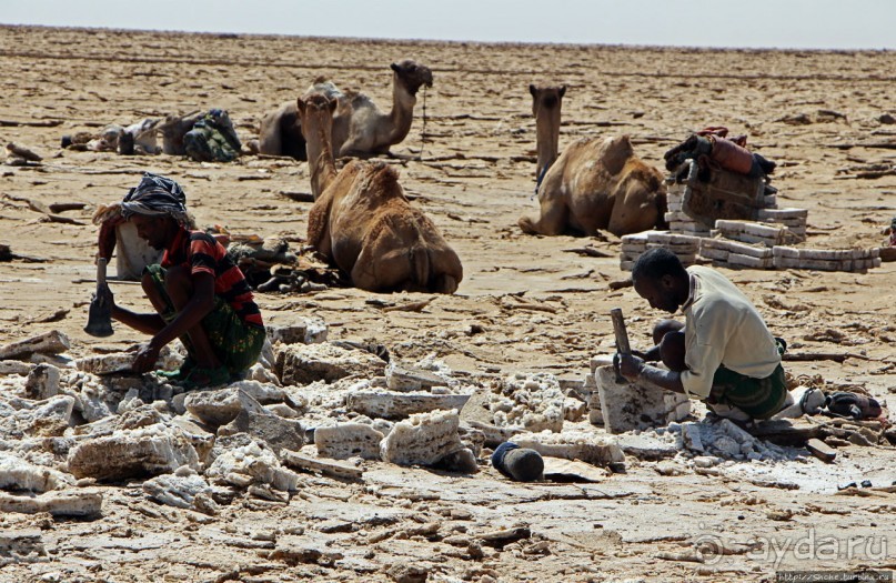 Соль рубить, соль возить