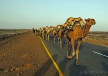 Соль рубить, соль возить