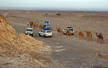 Соль рубить, соль возить