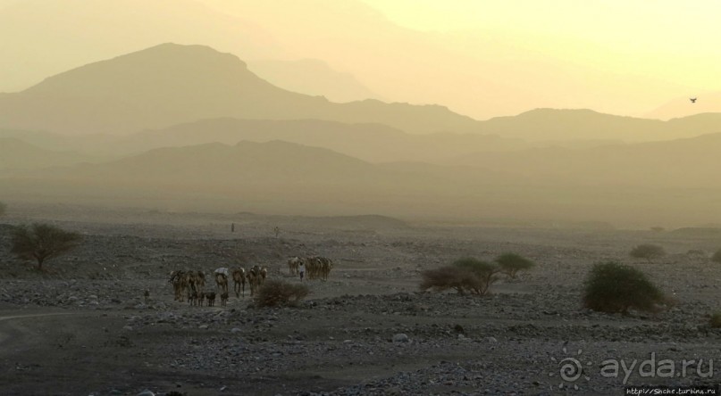 Соль рубить, соль возить