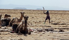 Соль рубить, соль возить