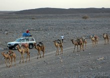 Соль рубить, соль возить