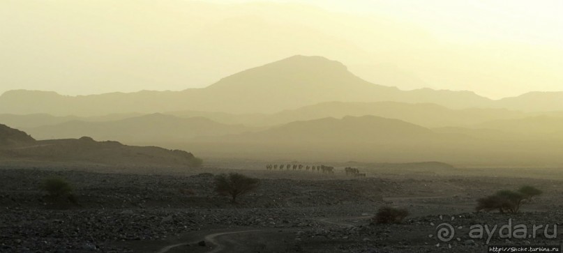 Соль рубить, соль возить