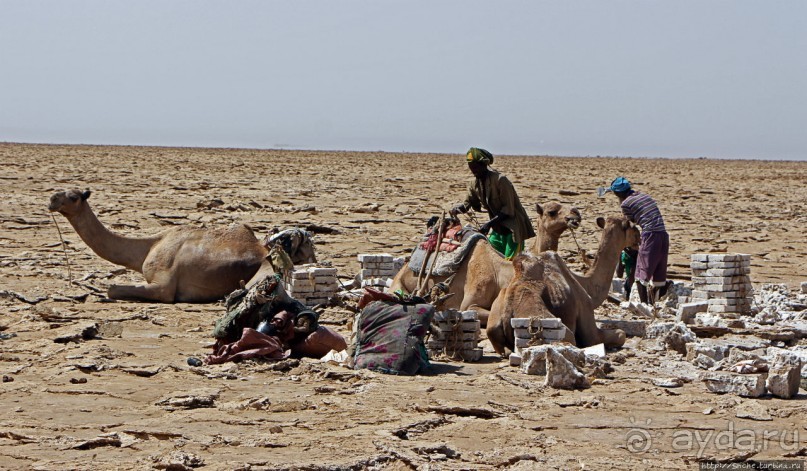 Соль рубить, соль возить
