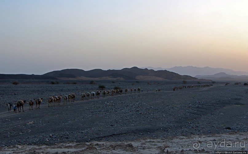 Соль рубить, соль возить