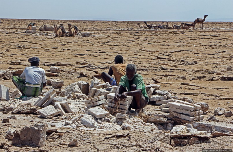 Соль рубить, соль возить