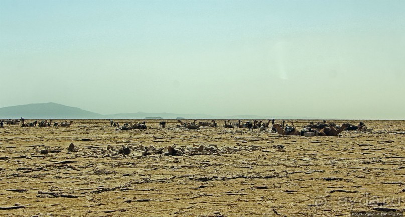 Соль рубить, соль возить