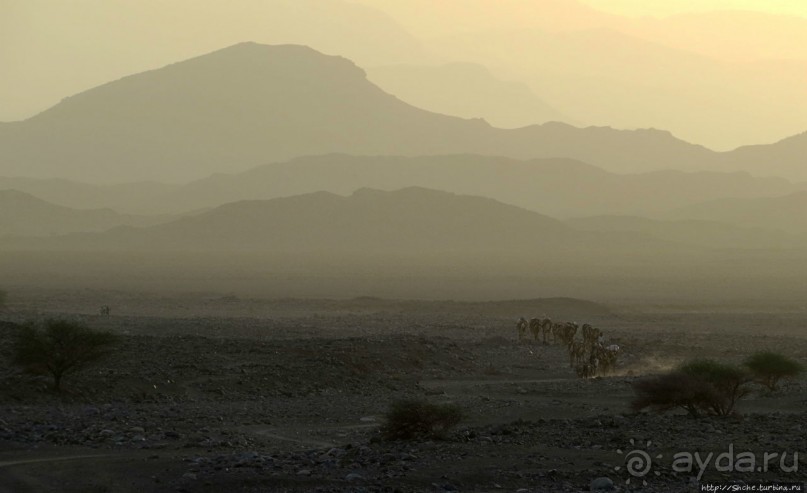 Соль рубить, соль возить