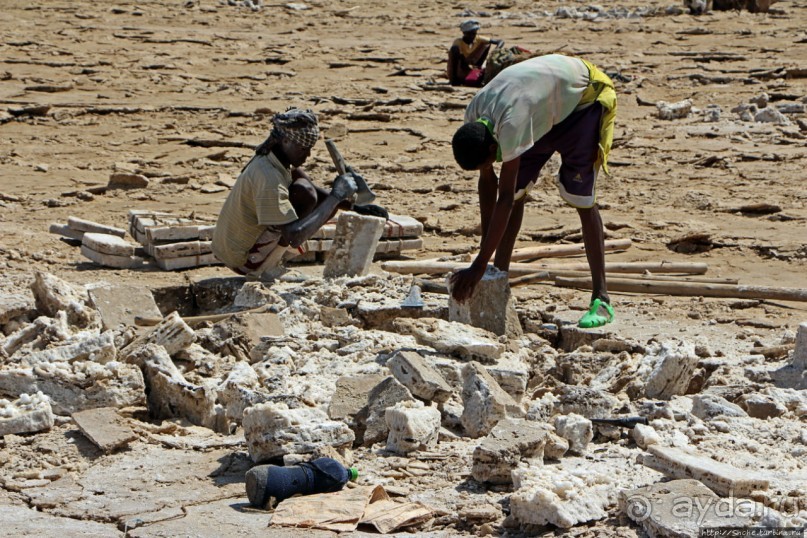 Соль рубить, соль возить