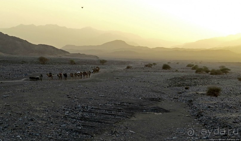 Соль рубить, соль возить