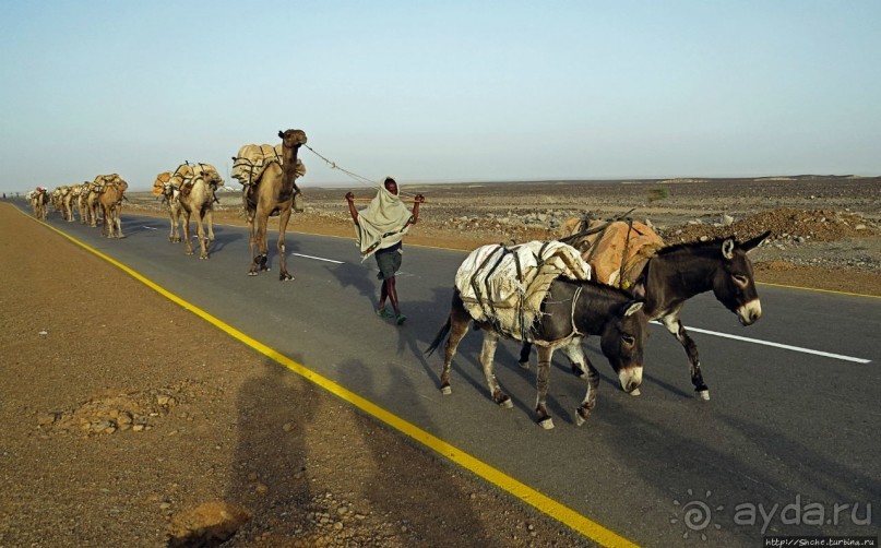 Соль рубить, соль возить