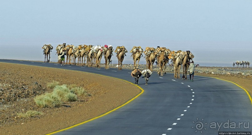 Соль рубить, соль возить