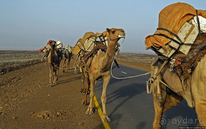 Соль рубить, соль возить