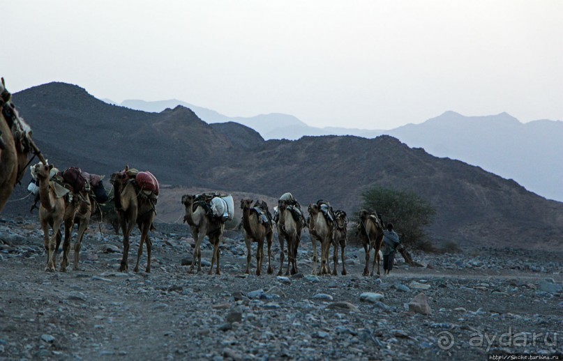 Соль рубить, соль возить