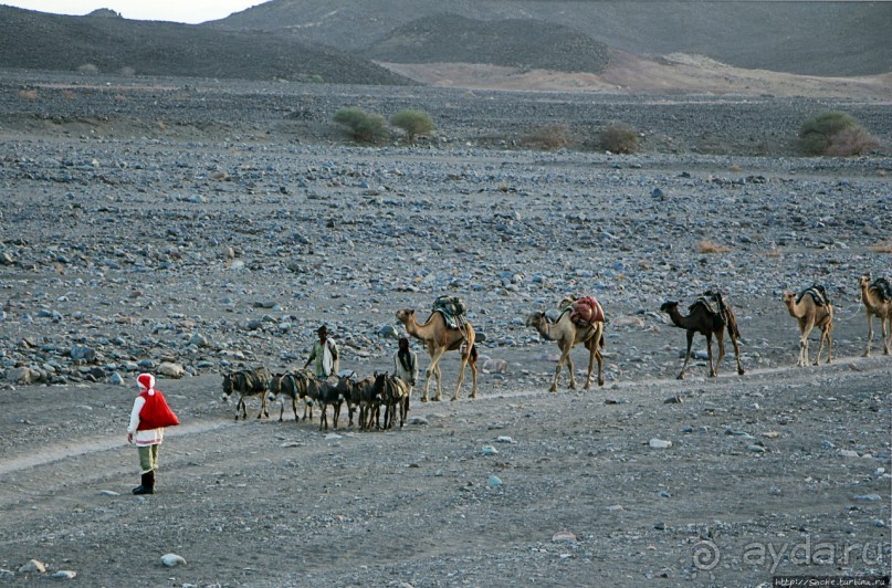 Соль рубить, соль возить