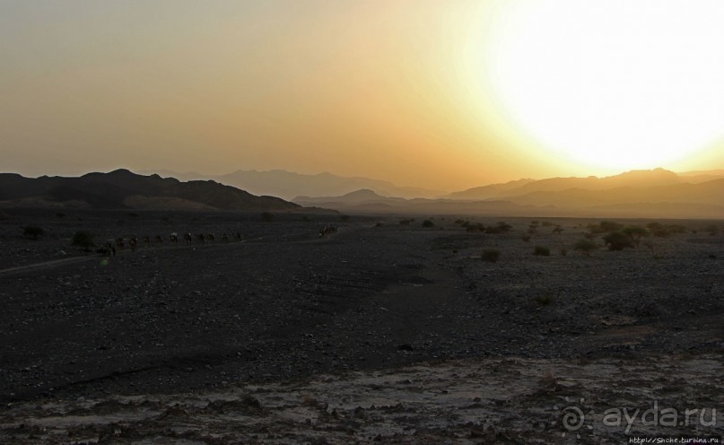 Соль рубить, соль возить