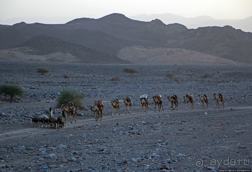 Соль рубить, соль возить