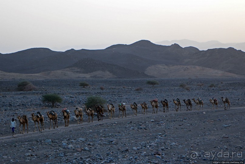 Соль рубить, соль возить