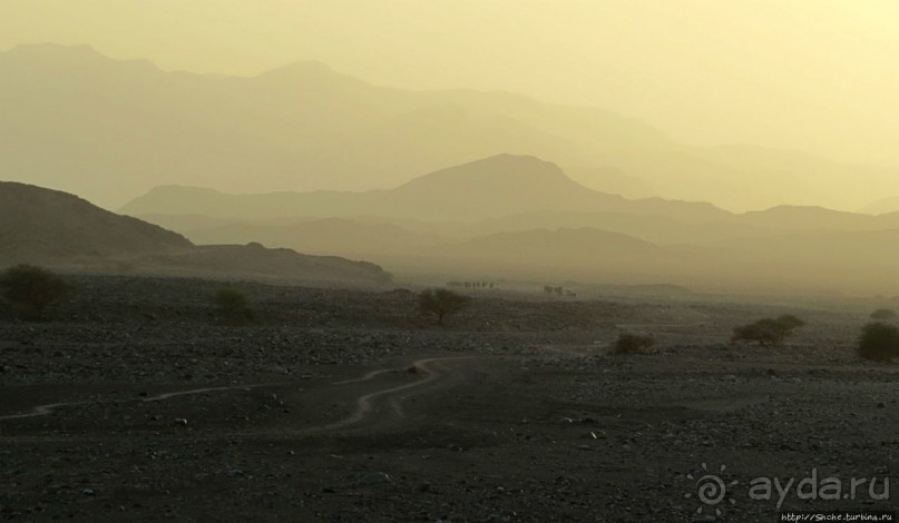 Соль рубить, соль возить