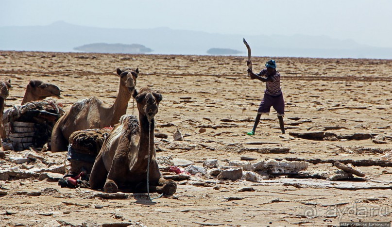 Соль рубить, соль возить