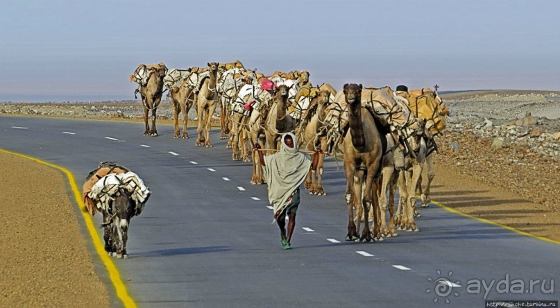Соль рубить, соль возить