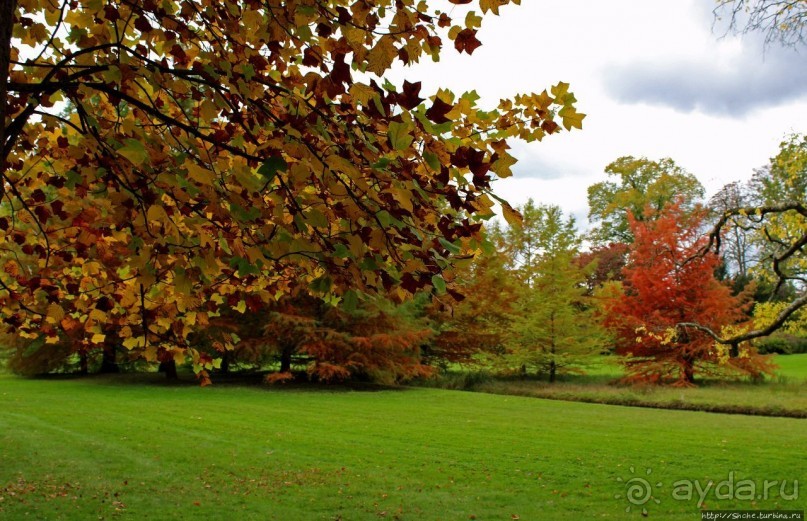 Сады и парк дворца Фонтенбло