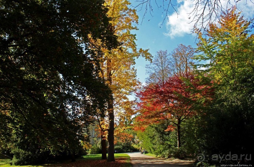 Сады и парк дворца Фонтенбло