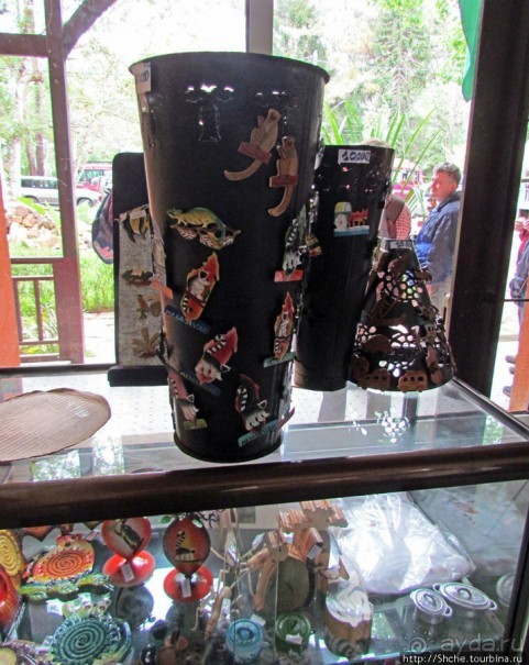 Поиски лемуров в дождевом лесу Андасибе. Удачная попытка.