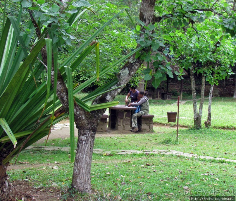 Поиски лемуров в дождевом лесу Андасибе. Удачная попытка.