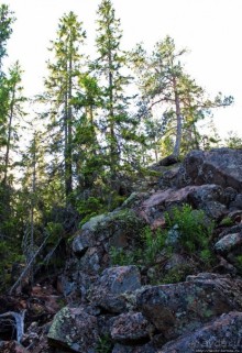 Море, горы, лес... Skuleskogen (объект ЮНЕСКО 898)