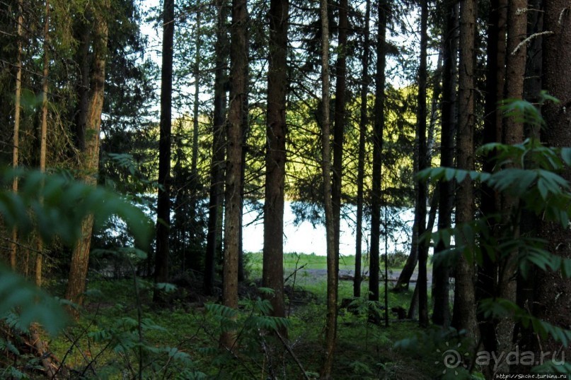 Море, горы, лес... Skuleskogen (объект ЮНЕСКО 898)