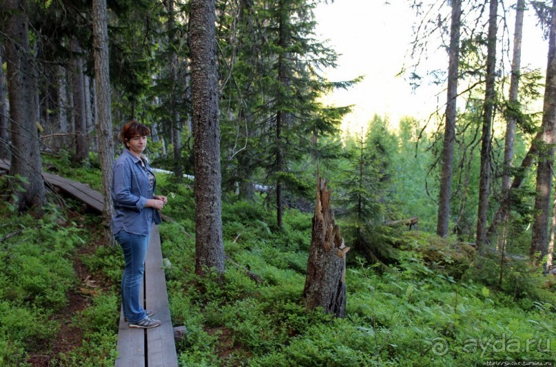 Море, горы, лес... Skuleskogen (объект ЮНЕСКО 898)