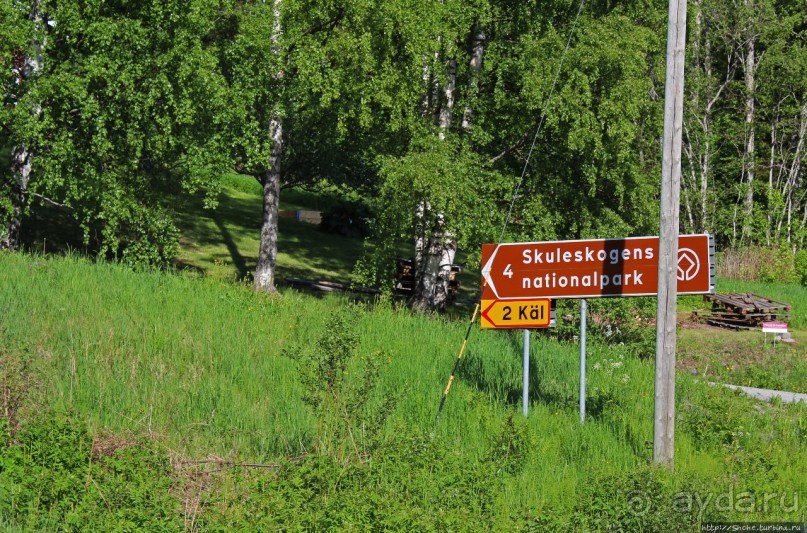 Море, горы, лес... Skuleskogen (объект ЮНЕСКО 898)