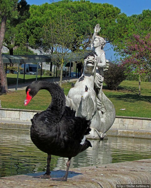 Парк Эдуарда VII — и весь город у наших ног