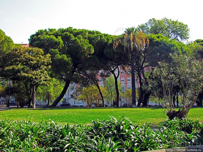 Парк Эдуарда VII — и весь город у наших ног