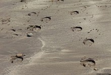 Марокканский Титаник