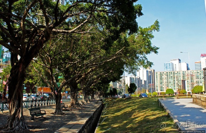 Озеро Нам Ван — колорит современного Макао