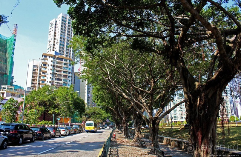 Озеро Нам Ван — колорит современного Макао